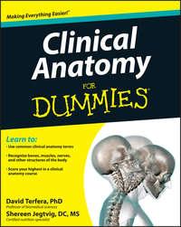 Clinical Anatomy For Dummies - Shereen Jegtvig