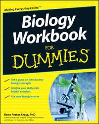 Biology Workbook For Dummies - Rene Fester Kratz