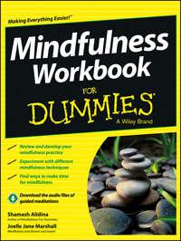 Mindfulness Workbook For Dummies - Shamash Alidina