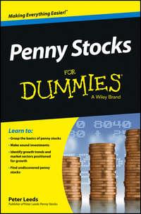 Penny Stocks For Dummies - Peter Leeds