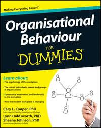 Organisational Behaviour For Dummies - Sheena Johnson
