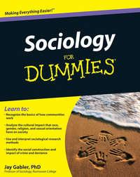 Sociology For Dummies, Jay  Gabler аудиокнига. ISDN28317039