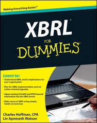 XBRL For Dummies, Charles  Hoffman audiobook. ISDN28317048