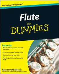 Flute For Dummies,  аудиокнига. ISDN28317093