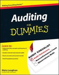 Auditing For Dummies, Maire  Loughran audiobook. ISDN28317363