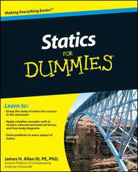 Statics For Dummies - James Allen