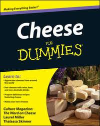 Cheese For Dummies, Laurel  Miller audiobook. ISDN28317840