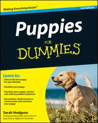 Puppies For Dummies, Sarah  Hodgson audiobook. ISDN28317885