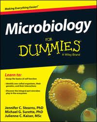 Microbiology For Dummies, Jennifer  Stearns аудиокнига. ISDN28318281