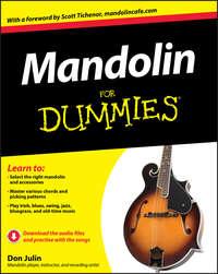 Mandolin For Dummies, Don  Julin аудиокнига. ISDN28318398
