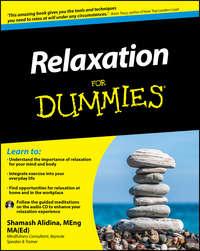 Relaxation For Dummies, Shamash  Alidina аудиокнига. ISDN28318407