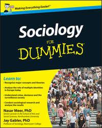 Sociology For Dummies, Jay  Gabler аудиокнига. ISDN28318470