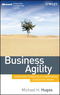 Business Agility. Sustainable Prosperity in a Relentlessly Competitive World - Michael Hugos