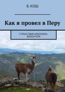 Как я провел в Перу. Странствия археолога-волонтёра - Б. Кош