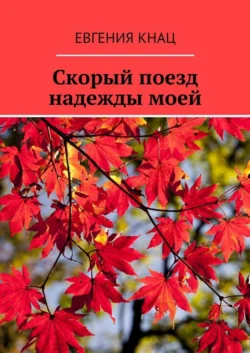 Скорый поезд надежды моей - Евгения Кнац