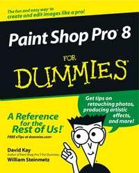 Paint Shop Pro 8 For Dummies - William Steinmetz