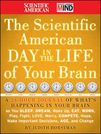 The Scientific American Day in the Life of Your Brain. A 24 hour Journal of Whats Happening in Your Brain as you Sleep, Dream, Wake Up, Eat, Work, Play, Fight, Love, Worry, Compete, Hope, Make Important Decisions, Age and Change - Judith Horstman