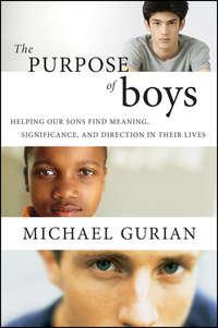 The Purpose of Boys. Helping Our Sons Find Meaning, Significance, and Direction in Their Lives, Michael  Gurian audiobook. ISDN28967061