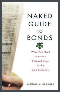 Naked Guide to Bonds. What You Need to Know -- Stripped Down to the Bare Essentials - Michael Brandes