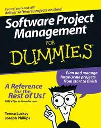 Software Project Management For Dummies, Joseph  Phillips аудиокнига. ISDN28973117