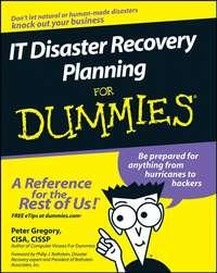 IT Disaster Recovery Planning For Dummies,  audiobook. ISDN28973541