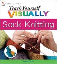 Teach Yourself VISUALLY Sock Knitting, Laura  Chau audiobook. ISDN28973781