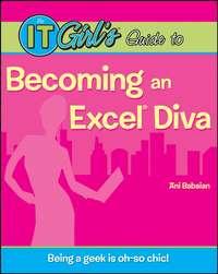 The IT Girl′s Guide to Becoming an Excel Diva - Ani Babaian