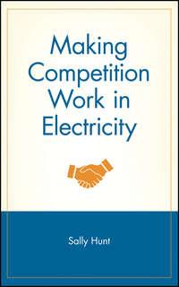 Making Competition Work in Electricity - Sally Hunt