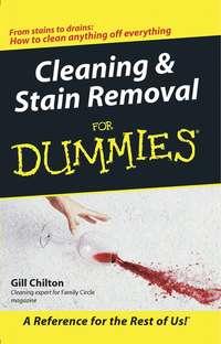 Cleaning and Stain Removal for Dummies, Gill  Chilton książka audio. ISDN28975165