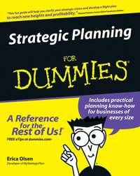 Strategic Planning For Dummies - Erica Olsen
