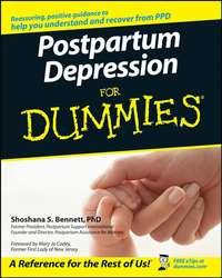 Postpartum Depression For Dummies - Mary Codey