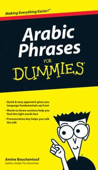 Arabic Phrases For Dummies, Amine  Bouchentouf książka audio. ISDN28976789