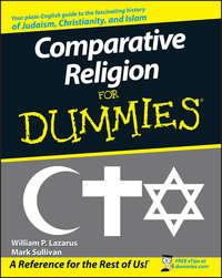 Comparative Religion For Dummies, Mark  Sullivan książka audio. ISDN28976821