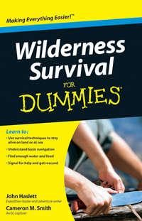 Wilderness Survival For Dummies,  audiobook. ISDN28977277