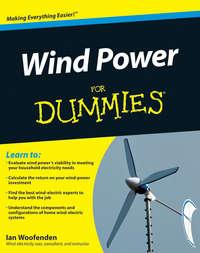 Wind Power For Dummies - Ian Woofenden