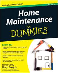 Home Maintenance For Dummies, James  Carey książka audio. ISDN28977349