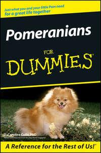 Pomeranians For Dummies,  książka audio. ISDN28978765
