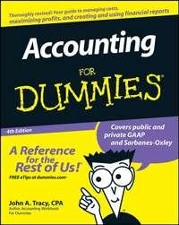 Accounting For Dummies,  аудиокнига. ISDN28978973