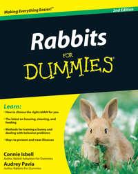 Rabbits For Dummies, Audrey  Pavia аудиокнига. ISDN28979181
