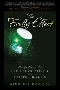 The Firefly Effect. Build Teams That Capture Creativity and Catapult Results - Kimberly Douglas
