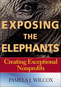 Exposing the Elephants. Creating Exceptional Nonprofits,  książka audio. ISDN28981589