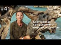 Манта: как встретить морского дьявола - Евгения Тимонова