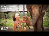 Слон: Искусство быть большим, аудиокнига Евгении Тимоновой. ISDN28984444