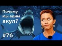 Почему мы едим акул?, аудиокнига Евгении Тимоновой. ISDN28984676