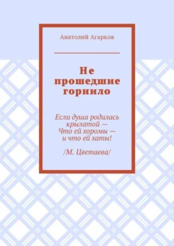 Не прошедшие горнило - Анатолий Агарков