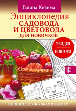 Энциклопедия садовода и цветовода для новичков в понятных рисунках и схемах. Увидел – повтори - Галина Кизима