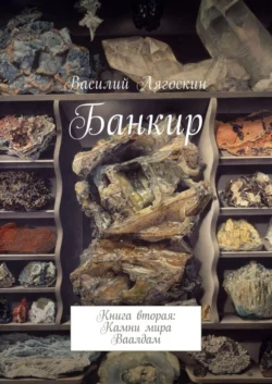 Банкир. Книга вторая: Камни мира Ваалдам, аудиокнига Василия Лягоскина. ISDN30804641