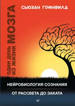 Один день из жизни мозга. Нейробиология сознания от рассвета до заката, аудиокнига Сьюзан Гринфилд. ISDN30808585