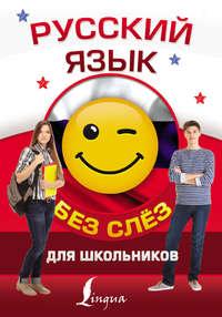 Русский язык для школьников без слёз - Филипп Алексеев