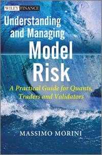Understanding and Managing Model Risk. A Practical Guide for Quants, Traders and Validators - Massimo Morini